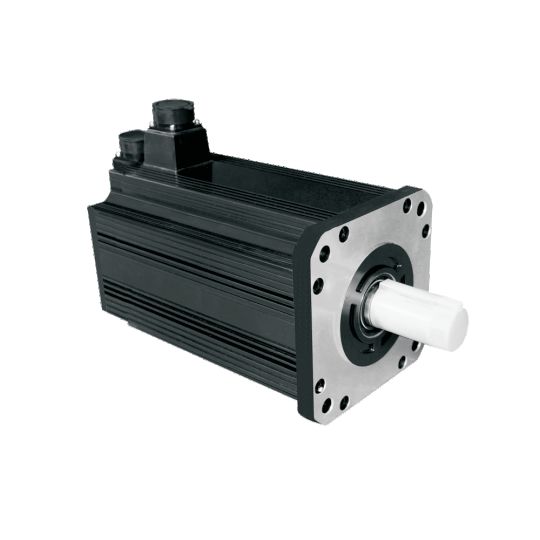 Büyük AC Servo Motor